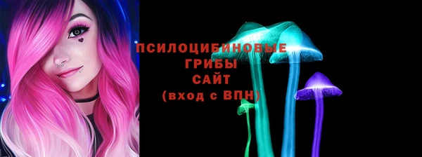спиды Богданович