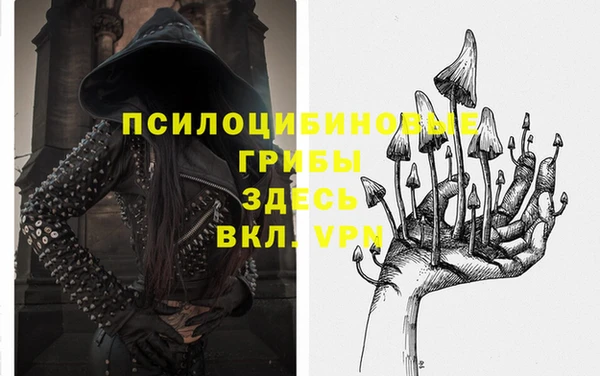 спиды Богданович