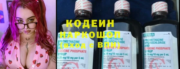 спиды Богданович