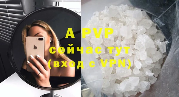 спиды Богданович