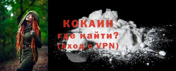 спиды Богданович