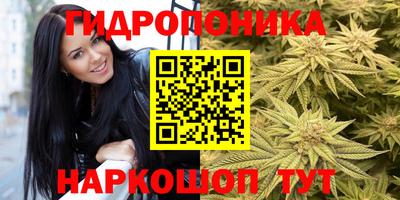 трава Берёзовский